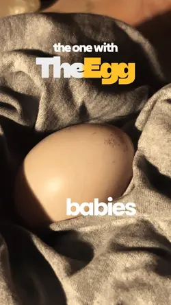 The egg