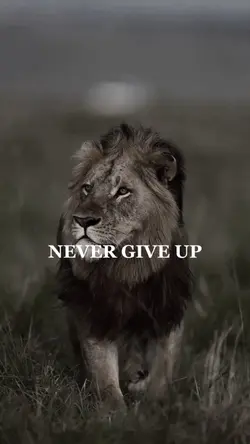 Never give up