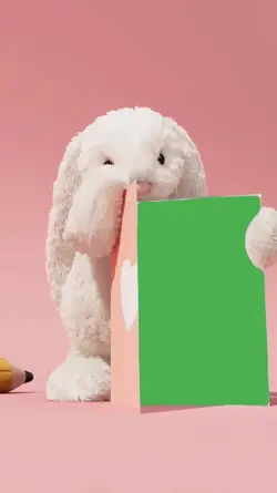coelhinho 