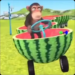 benim fikrim değil 