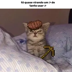 tô quase