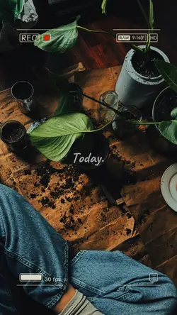 Planting aestethic