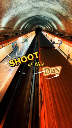 SHOOT OF THIS DAY
