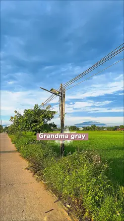 Grandma gray