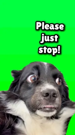 PleaseJustStop