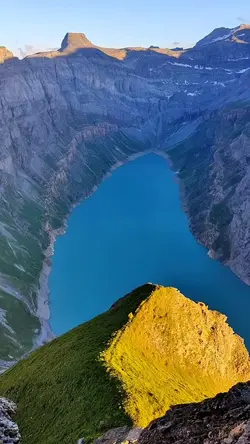 8 video nature story