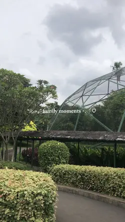 family moments