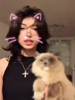MONTAGEM MIAU