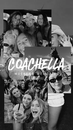 Coachella Fastival