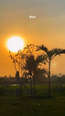 cinematic filter hd