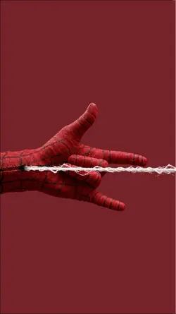 spider