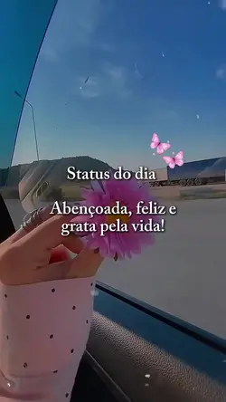 Status do dia 