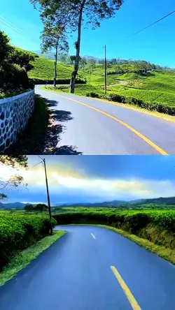 roadtrip kolase