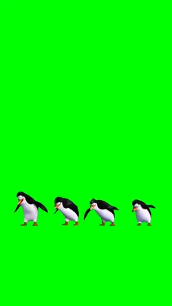 PENGUINS DANCING