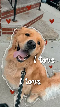 I love i love i love