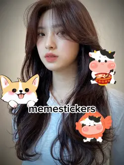 memestickers