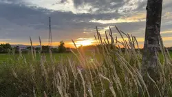 Chill sunset