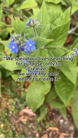 Template quote