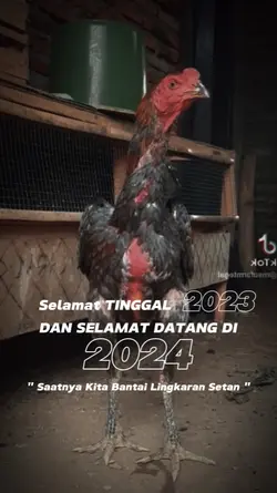 2024 