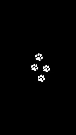National cat day