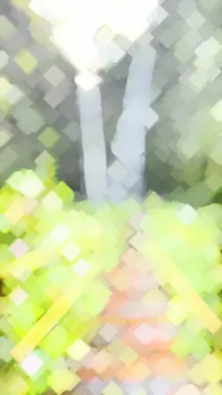 slowmotion