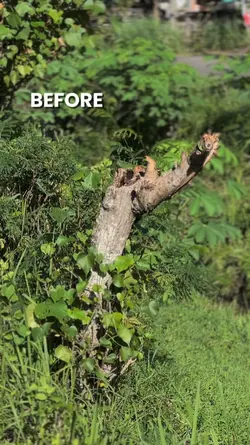 BEFORE VS AFTER