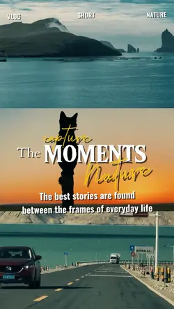 Capture the moments