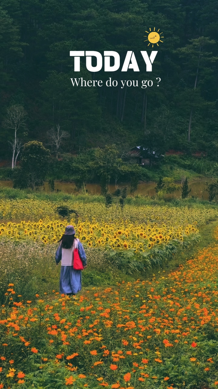 one image template with text bright - Pippit