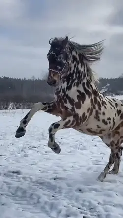pinterest slowmo