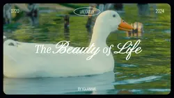 the beauty of lif