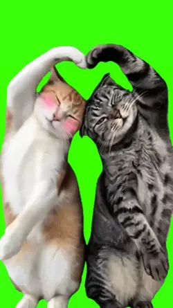 Kawai Kitties Dance