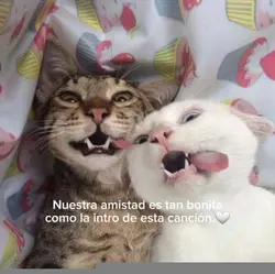 nuestra amistad