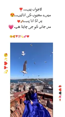 viral templet 