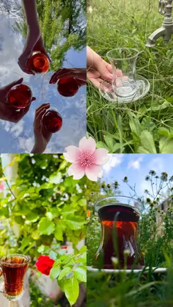 piknik