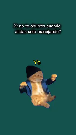 Yo cuando manejo 