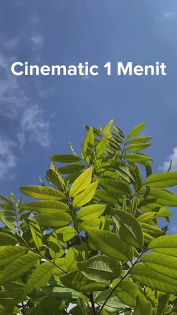 Cinematic Healing