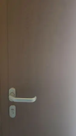 sogni