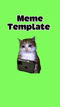 Cat crying 