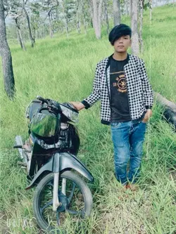 Bat like