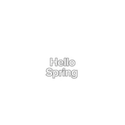 Hello spring ☀️☀️