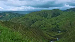 nature