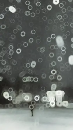SlowMotion