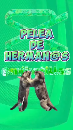 PELEA DE HERMAN@S