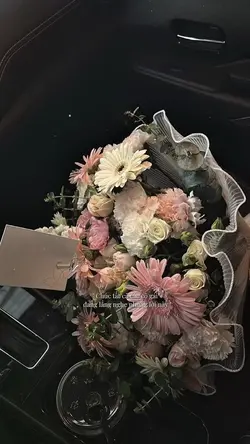 Quốc tế phụ nữ 8/3