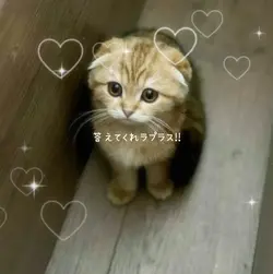 暗闇なんだって