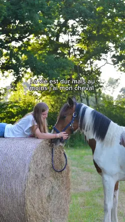 la vie est dur 