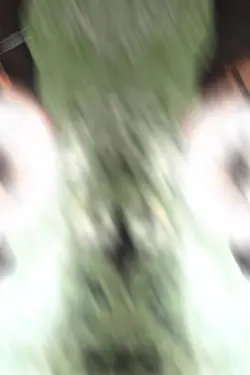 Bʜᴏᴊᴘᴜʀɪ sᴏɴɢ
