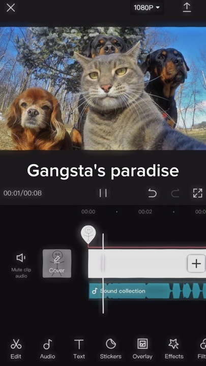 capcut template cover