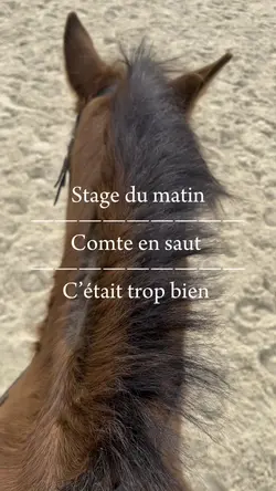 Séance avec comte 