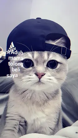 Aduh mama tolong bel